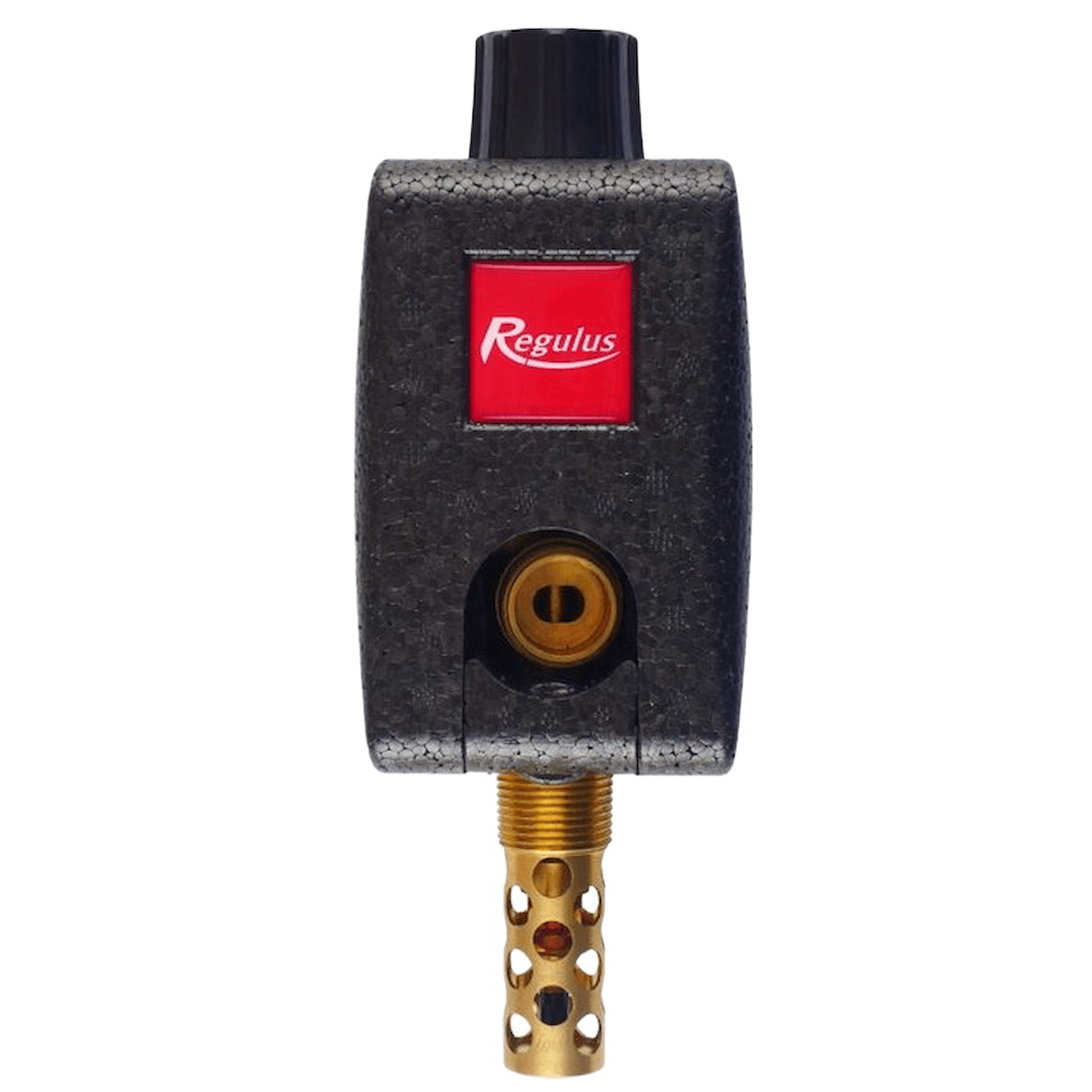 Regulus DBV2 ¾" doppelte Thermische Ablaufsicherung - 2 - Wege - Ventil - GEMA Shop